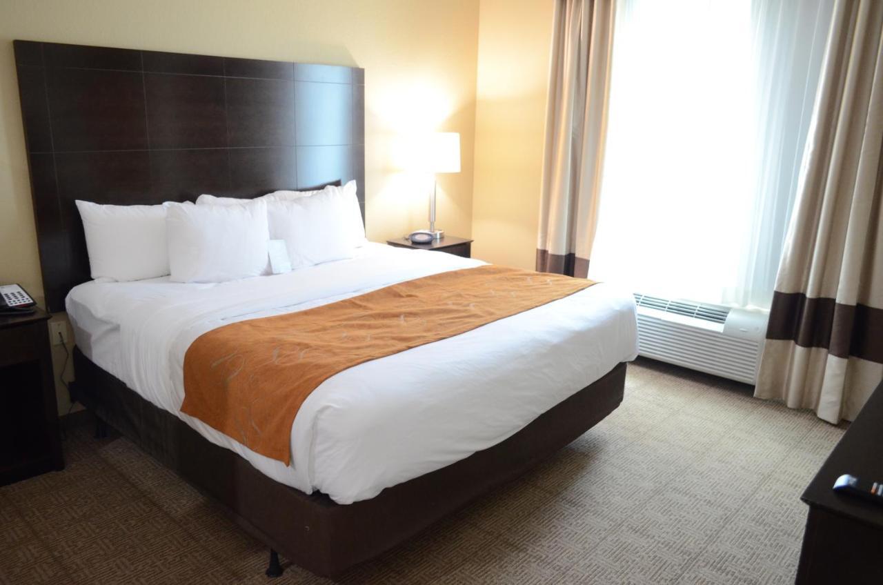 Comfort Suites Northwest - Cy - Fair Cypress Eksteriør bilde